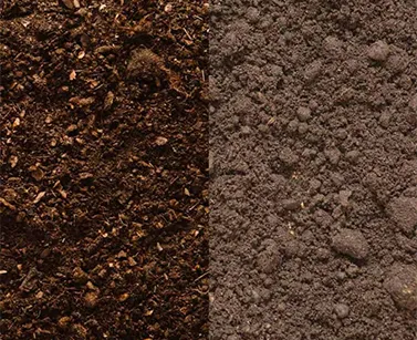 product-377-307 product-377-307